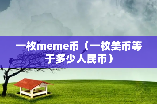 一枚meme币（一枚美币等于多少人民币）