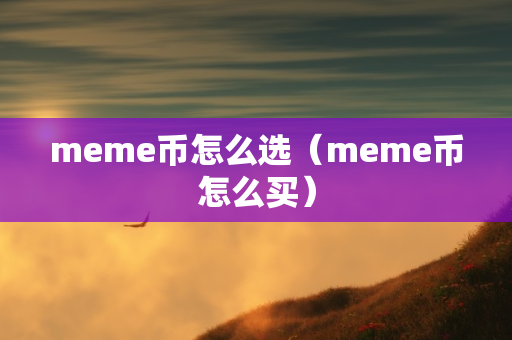 meme币怎么选（meme币怎么买）