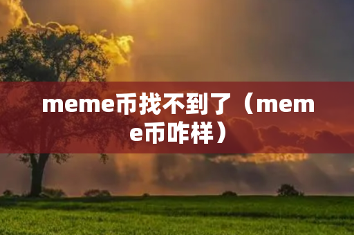 meme币找不到了（meme币咋样）