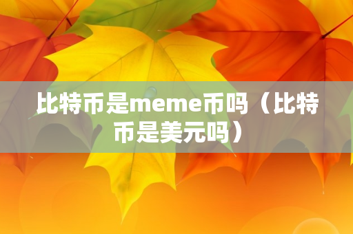 比特币是meme币吗（比特币是美元吗）