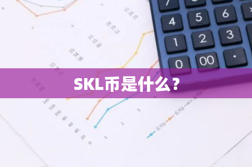 SKL币是什么？