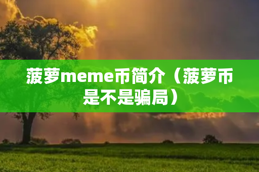 菠萝meme币简介（菠萝币是不是骗局）