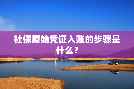 社保原始凭证入账的步骤是什么？