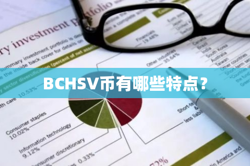 BCHSV币有哪些特点？