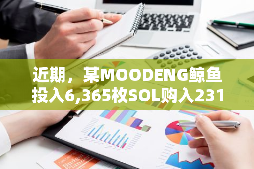 近期，某MOODENG鲸鱼投入6,365枚SOL购入2313万枚AVA，引发市场关注