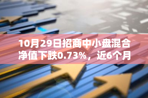 10月29日招商中小盘混合净值下跌0.73%，近6个月累计上涨1.61%