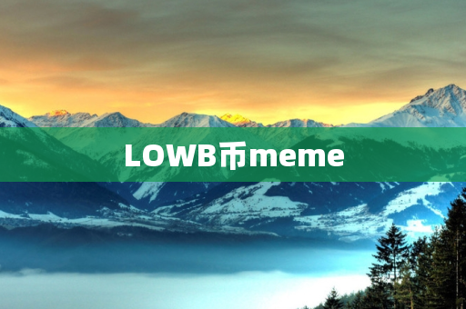 LOWB币meme