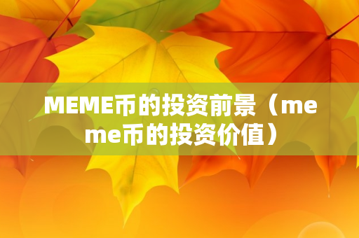 MEME币的投资前景（meme币的投资价值）