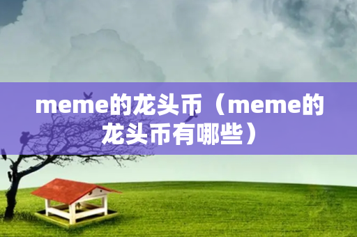 meme的龙头币（meme的龙头币有哪些）