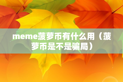 meme菠萝币有什么用（菠萝币是不是骗局）