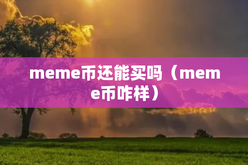 meme币还能买吗（meme币咋样）