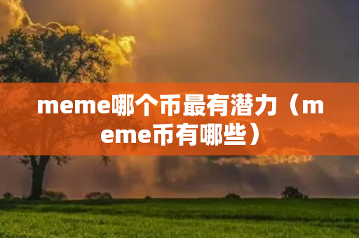 meme哪个币最有潜力（meme币有哪些）