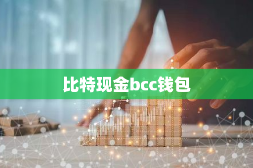 比特现金bcc钱包