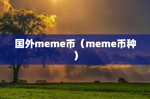 国外meme币（meme币种）