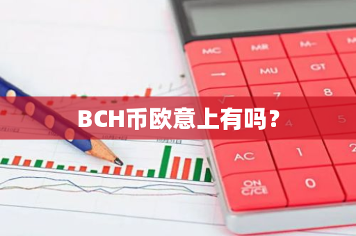 BCH币欧意上有吗？