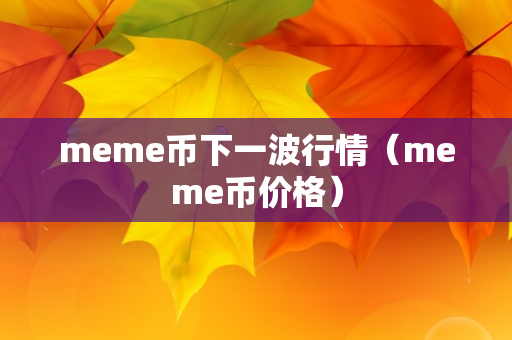 meme币下一波行情（meme币价格）