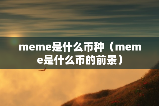 meme是什么币种（meme是什么币的前景）