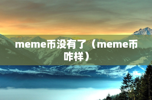 meme币没有了（meme币咋样）