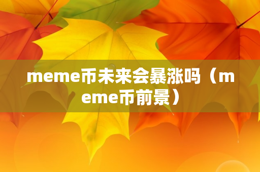 meme币未来会暴涨吗（meme币前景）