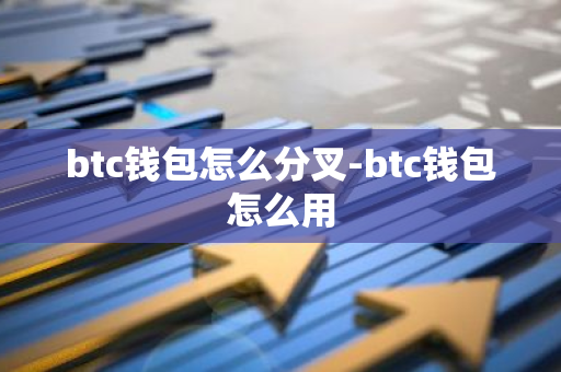 btc钱包怎么分叉-btc钱包怎么用