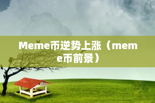 Meme币逆势上涨（meme币前景）