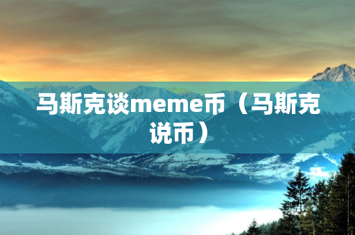 马斯克谈meme币（马斯克说币）