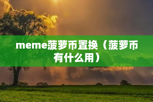 meme菠萝币置换（菠萝币有什么用）