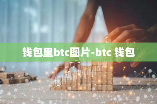 钱包里btc图片-btc 钱包