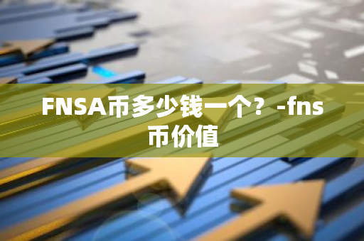 FNSA币多少钱一个？-fns币价值