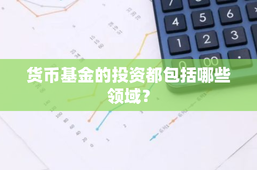 货币基金的投资都包括哪些领域？