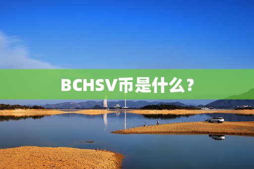 BCHSV币是什么？