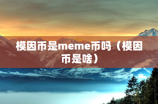 模因币是meme币吗（模因币是啥）