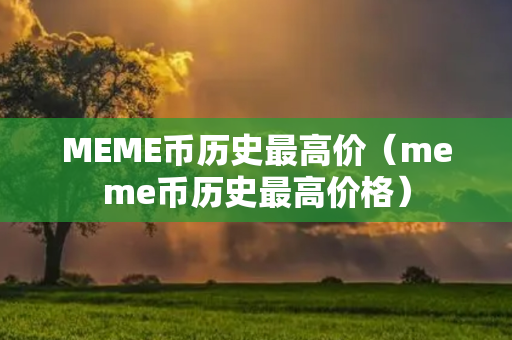 MEME币历史最高价（meme币历史最高价格）