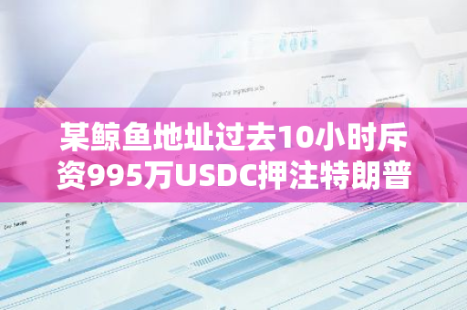 某鲸鱼地址过去10小时斥资995万USDC押注特朗普胜选