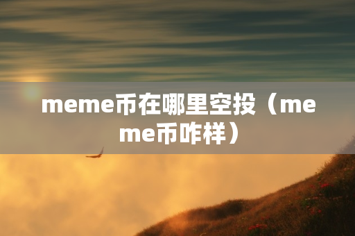 meme币在哪里空投（meme币咋样）