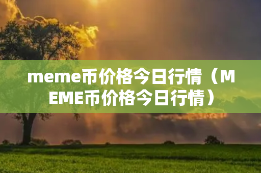 meme币价格今日行情（MEME币价格今日行情）