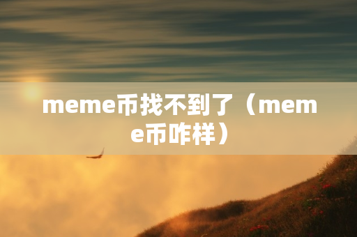 meme币找不到了（meme币咋样）