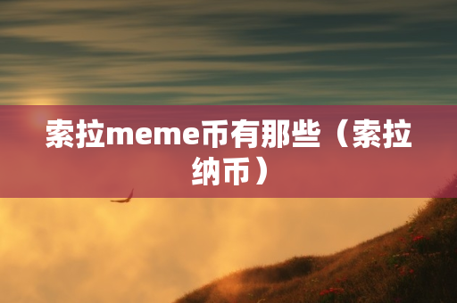 索拉meme币有那些（索拉纳币）