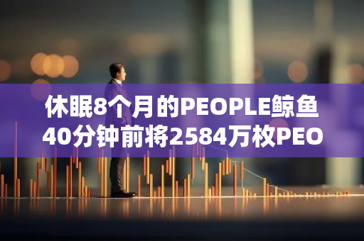 休眠8个月的PEOPLE鲸鱼40分钟前将2584万枚PEOPLE存入币安，获利41.7万美元