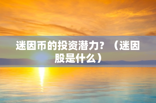 迷因币的投资潜力？（迷因股是什么）