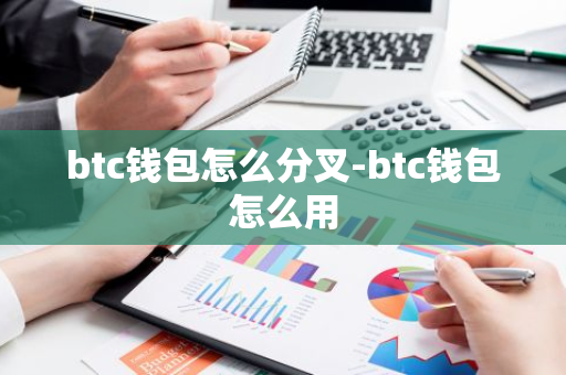 btc钱包怎么分叉-btc钱包怎么用