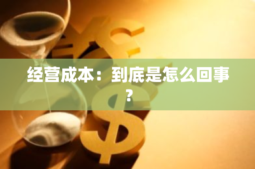 经营成本：到底是怎么回事？