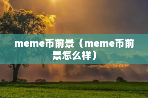 meme币前景（meme币前景怎么样）