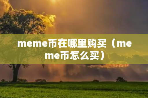 meme币在哪里购买（meme币怎么买）