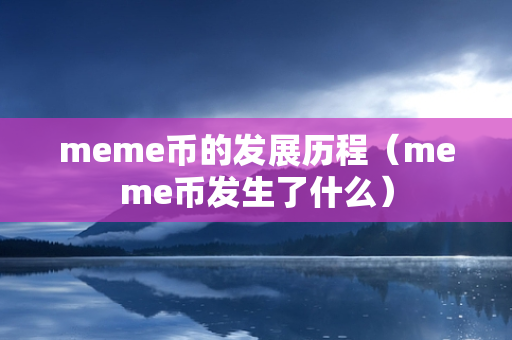 meme币的发展历程（meme币发生了什么）