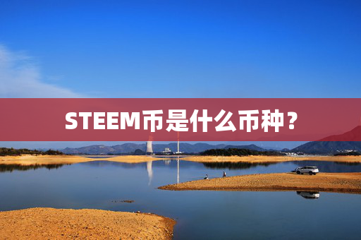 STEEM币是什么币种？