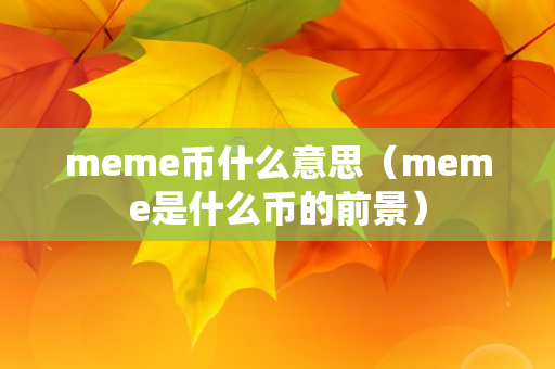 meme币什么意思（meme是什么币的前景）