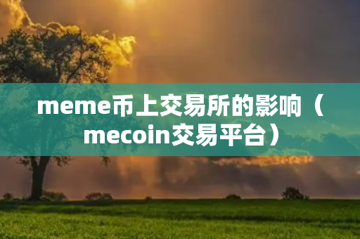 meme币上交易所的影响（mecoin交易平台）