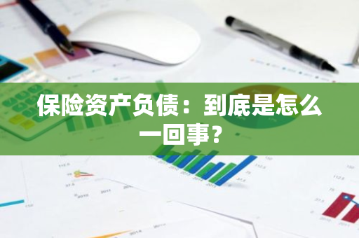 保险资产负债：到底是怎么一回事？