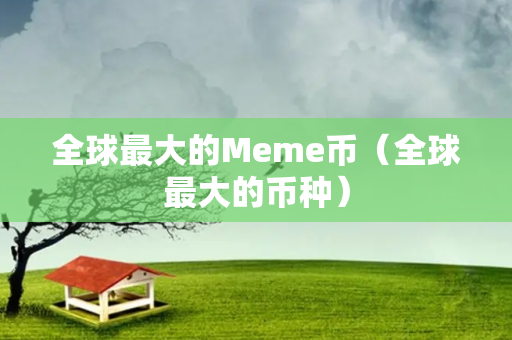 全球最大的Meme币（全球最大的币种）